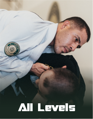 Logic HQ / Logic Jiu-Jitsu Academy logo